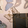 elegant butterfly wing earrings