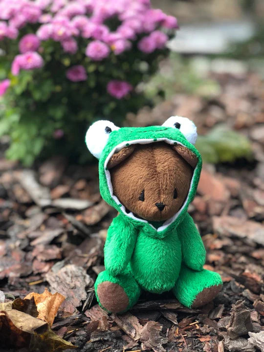 Teddy bear in a frog costume